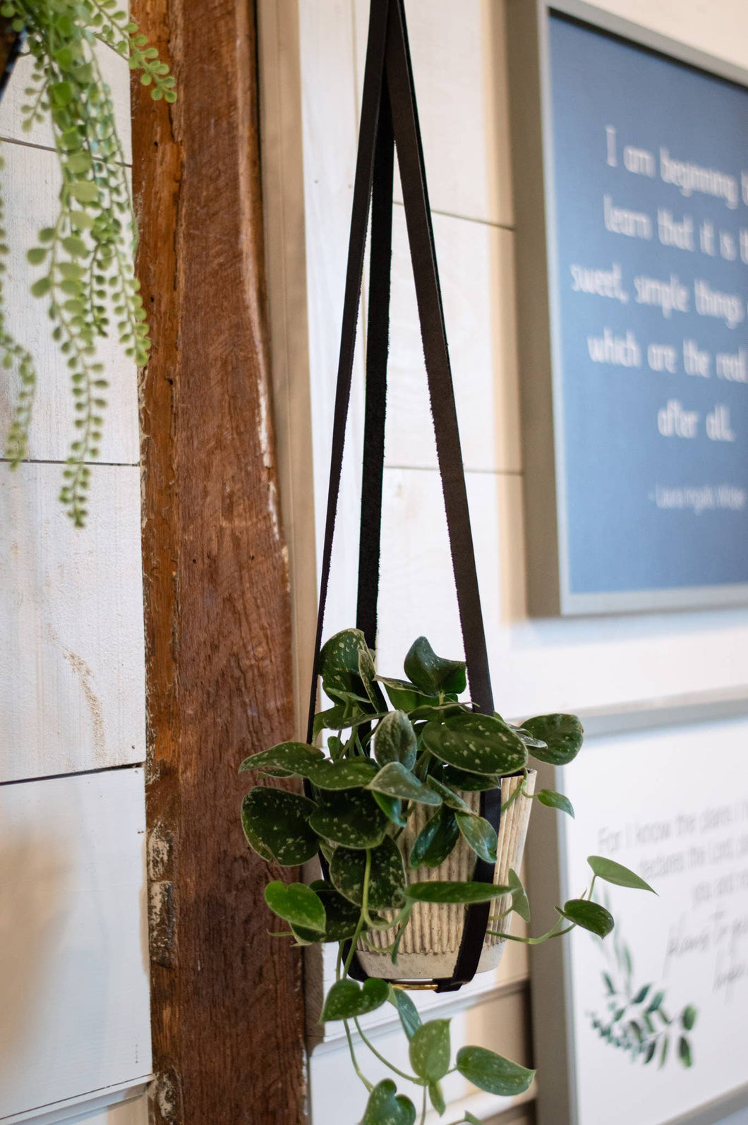 Urban Southern - Leather Plant Hanger in black