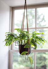 Load image into Gallery viewer, Urban Southern - Leather Plant Hanger

