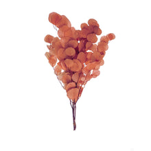 Load image into Gallery viewer,  Dried Natural Eucalyptus Bunch in Salmon 
