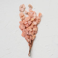 Load image into Gallery viewer, Dried Natural Eucalyptus Bunch - Salmon
