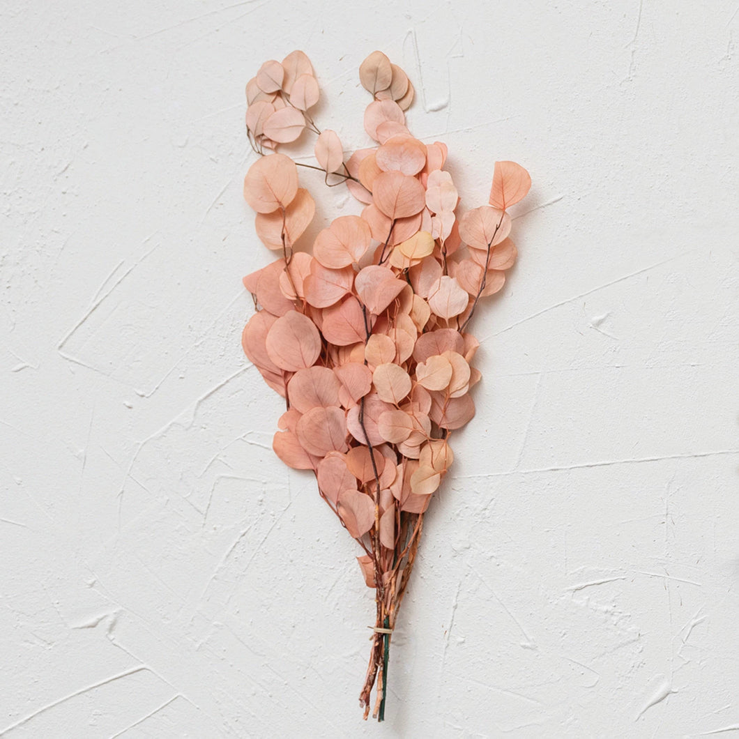  Dried Natural Eucalyptus Bunch in Salmon 