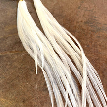 Load image into Gallery viewer, Long 8 inch ivory coque feathers

