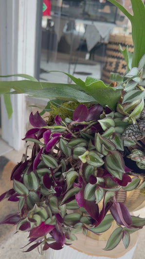 Decorative indoor plant arrangement in a gold pot on a table outside