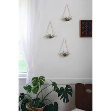 Load image into Gallery viewer, Curved Shelf Air Plant Wall Holder
