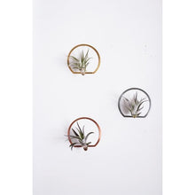 Load image into Gallery viewer, Arch Frame Air Plant Wall Holder
