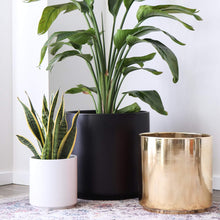 Load image into Gallery viewer, Black Ceramic Cylinder Planter
