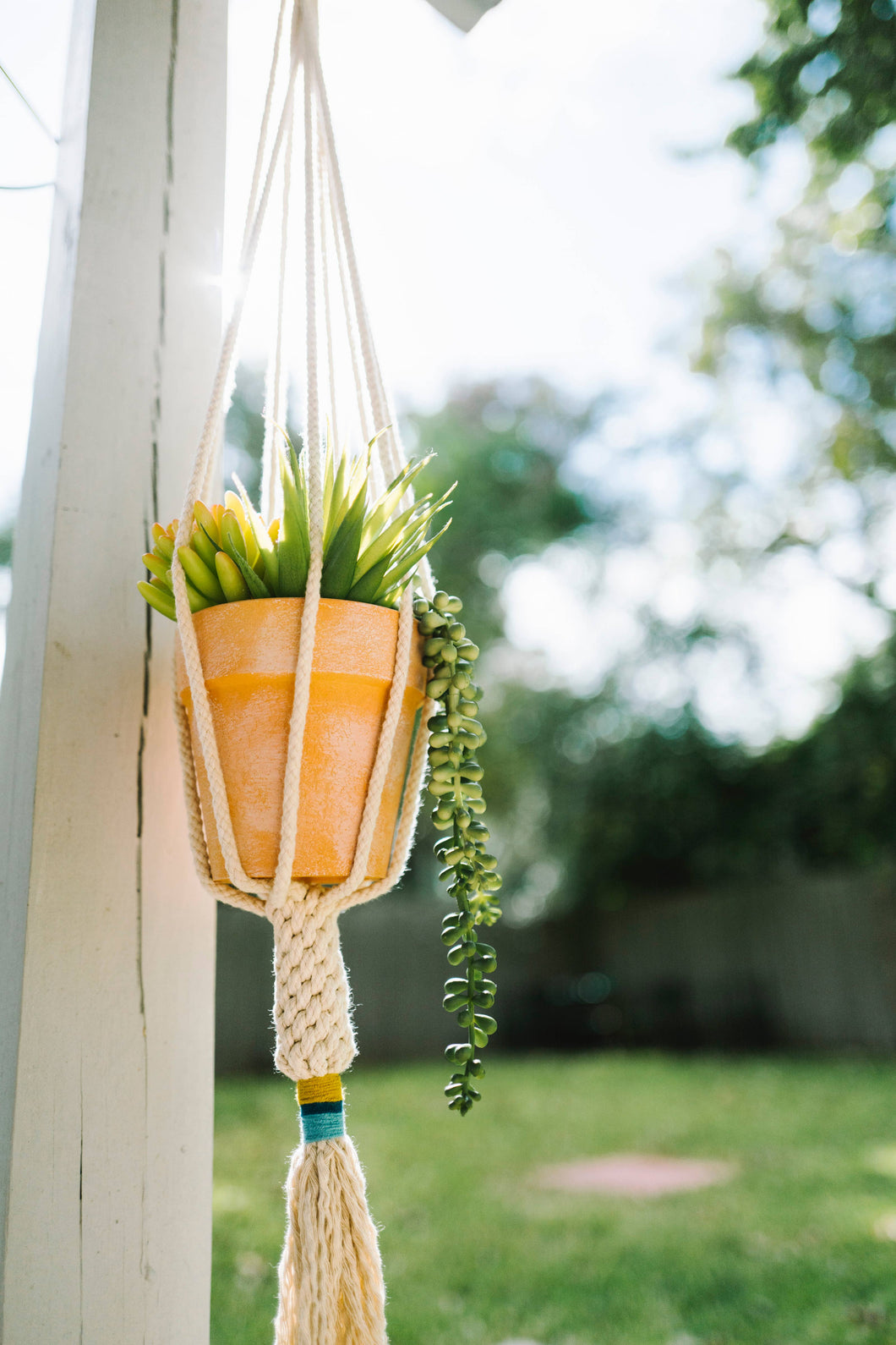 Dignity Plant Hanger