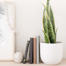 Load image into Gallery viewer, White Ceramic Contour Planter
