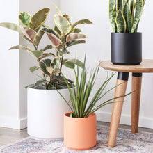 Load image into Gallery viewer, Black Ceramic Cylinder Planter

