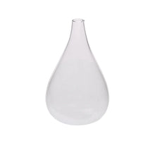 Load image into Gallery viewer, clear glass tall vase on a white background
