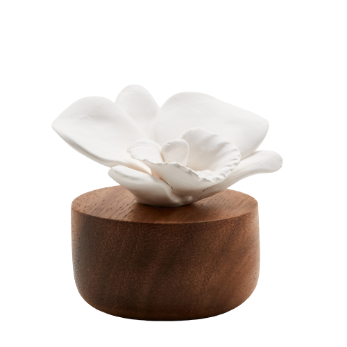 Anoq - Nepal Orchid Diffuser