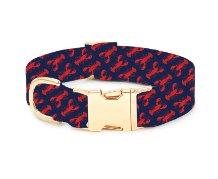 Catch of the Day Navy Dog Collar - Medium