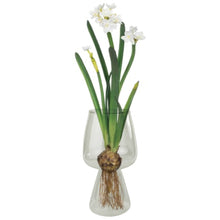 Load image into Gallery viewer, Glass Bulb Vase
