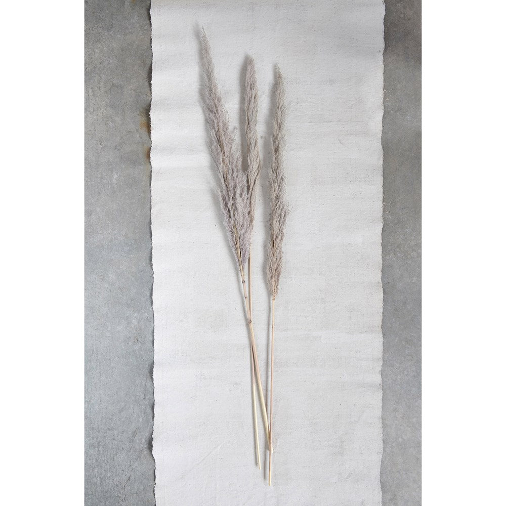 Dried Natural Pampas Grass