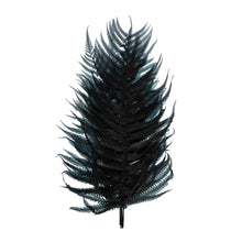 Load image into Gallery viewer, Dried Natural Fern
