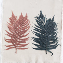 Load image into Gallery viewer, Dried Natural Fern
