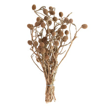 Load image into Gallery viewer, Dried Natural Bora Bunch
