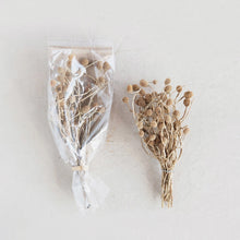 Load image into Gallery viewer, Dried Natural Bora Bunch
