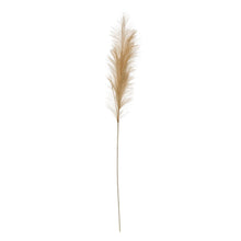 Load image into Gallery viewer, Faux Bristlegrass, Wheat
