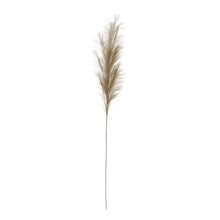 Load image into Gallery viewer, Faux Bristlegrass, Sage
