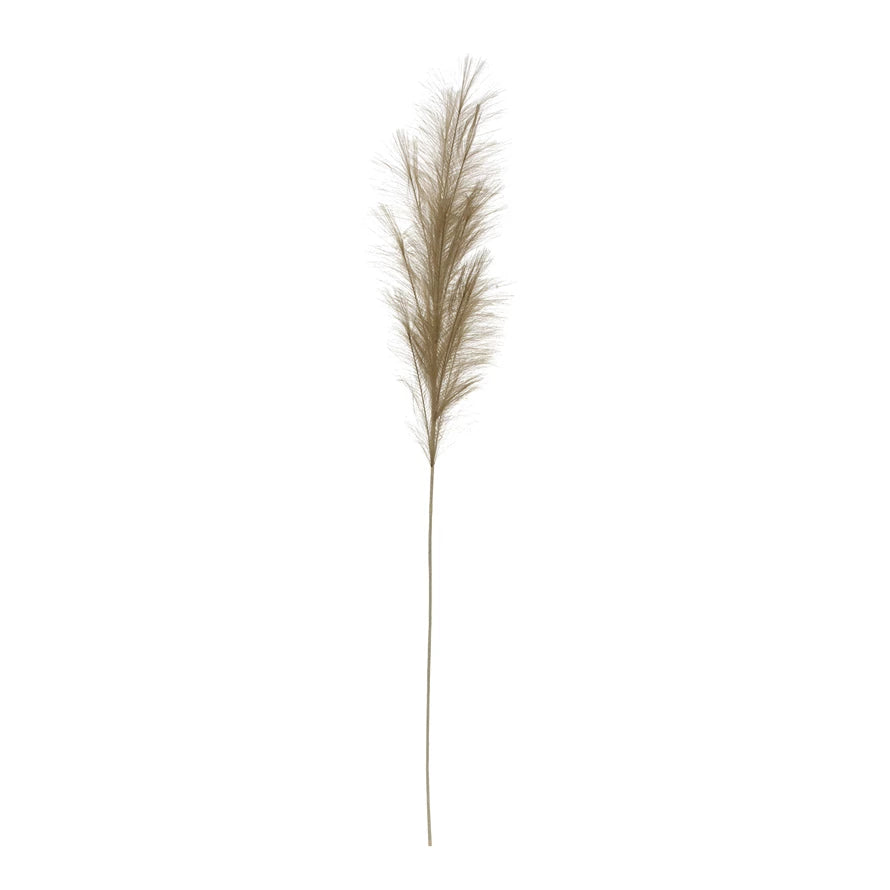 Faux Bristlegrass, Sage