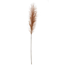 Load image into Gallery viewer, Faux Bristlegrass, Terra Cotta
