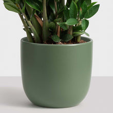 Load image into Gallery viewer, Forest Green Ceramic Contour Planter
